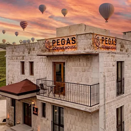 酒店 Pegas